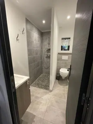 a small bathroom with a toilet and a shower at Bergerie entièrement rénovée in Viggianello