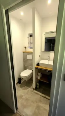 a bathroom with a toilet and a sink at Bergerie entièrement rénovée in Viggianello