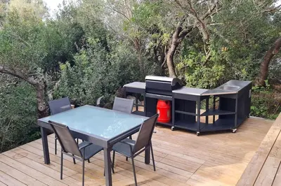 a barbecue on a deck with a table and chairs at Bergerie entièrement rénovée in Viggianello