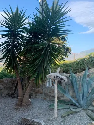 a sign that says fishing next to two palm trees at Grand appartement T4, piscine, vue exceptionnelle à 50 m de la plage in Propriano