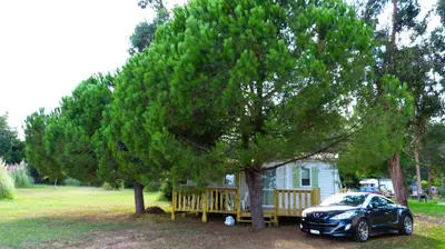 a car parked under a tree in front of a house at Camping Miami plage in Poggio-Mezzana
