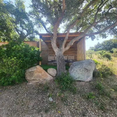 a tree and some rocks and a house at La RoseDan in Pianottoli-Caldarello