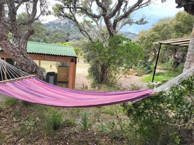 a hammock in front of a house at La RoseDan in Pianottoli-Caldarello
