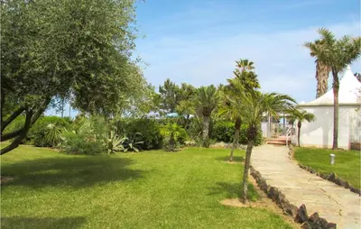 a yard with palm trees and a house at Lovely Apartment In Moriani Plage in Moriani Plage