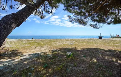 a tree on a beach with the ocean in the background at Lovely Apartment In Moriani Plage in Moriani Plage