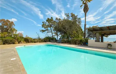 a blue swimming pool with a palm tree in the background at Lovely Apartment In Moriani Plage in Moriani Plage