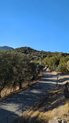 a road with trees on the side of a hill at U Maestrale in Canale-di-Verde