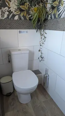 a bathroom with a toilet with a plant on the wall at U Maestrale in Canale-di-Verde