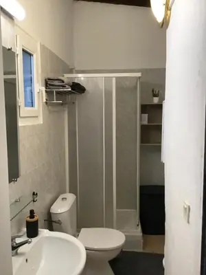 a bathroom with a toilet and a sink and a shower at Gîtes et Astrotourisme en Corse in Erbajolo