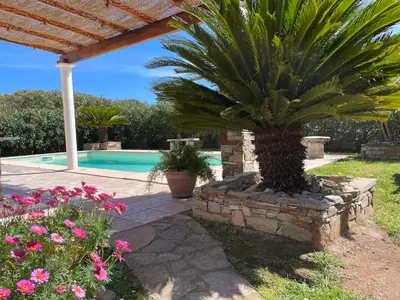 a palm tree in a stone wall next to a swimming pool at Chez Liselotte in Borgo