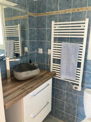 a bathroom with a stone sink on a wooden counter at Chez Liselotte in Borgo