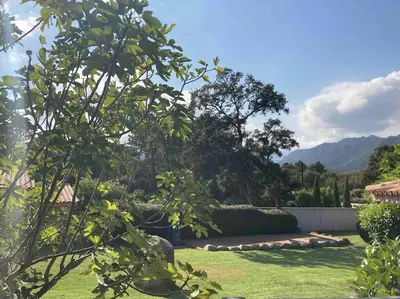 a yard with a garden with a fence and trees at Maison SAINTE LUCIE DE PORTO-VECCHIO in Sainte-Lucie de Porto-Vecchio