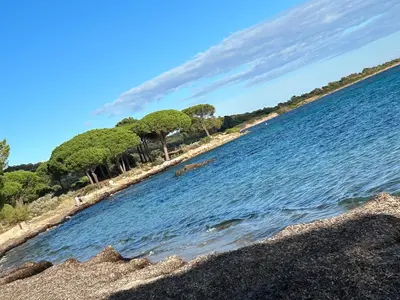 a beach with trees on the shore of a body of water at Maison SAINTE LUCIE DE PORTO-VECCHIO in Sainte-Lucie de Porto-Vecchio