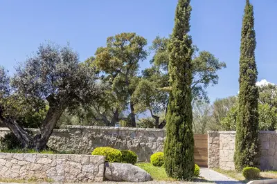 two tall trees in front of a stone wall at Domaine d'Arca - Flaubert 22 - 3 pièces - étage 2 - Porto-Vecchio in Porto-Vecchio
