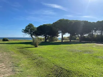 a field with trees and the ocean in the background at Corsica Poggio in Poggio-Mezzana
