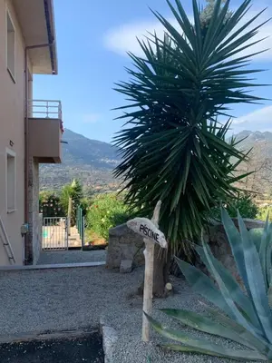 a stone bench sitting next to a palm tree at Grand T4 , vue magnifique à 50 m de la plage in Propriano