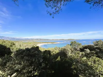 a view of a beach with trees and the ocean at Villa Arazu, 10 personnes, piscine chauffée, vue mer, 15 minutes à pieds plage in Cirendinu