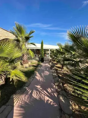 a walkway with palm trees in front of a building at Mini villa T3 de 48m2 in Lecci