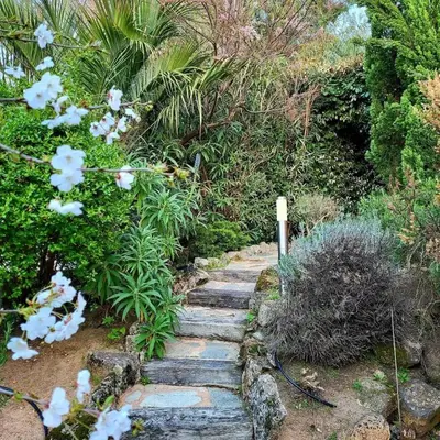 a garden path with white flowers and plants at Casa Marcelli 4 in Porto-Vecchio