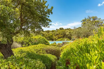 a garden with green bushes and a tree at Villa Pina in Sainte-Lucie de Porto-Vecchio