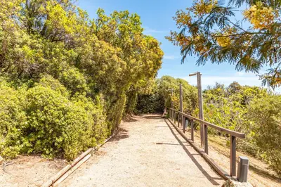 a dirt trail with a fence and trees at Villa A signoria in Porto-Vecchio