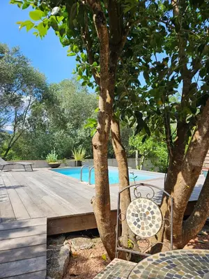 a bench sitting next to a tree next to a pool at Casa Marcelli 3 in Porto-Vecchio