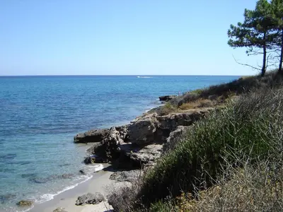 a rocky shoreline with trees and the ocean at Trilocale in residence con piscina a 200 m dal mare in Linguizzetta