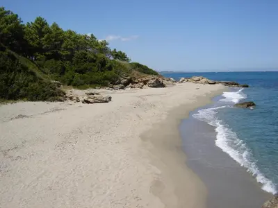 a sandy beach with trees and the ocean at Trilocale in residence con piscina a 200 m dal mare in Linguizzetta