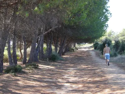a man walking down a tree lined dirt road at Trilocale in residence con piscina a 200 m dal mare in Linguizzetta