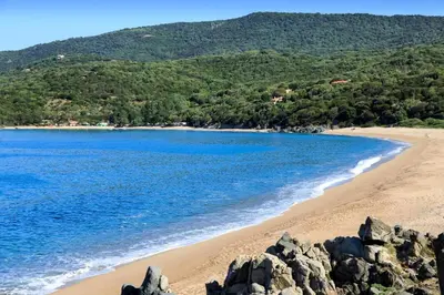 a beach with rocks and blue water and trees at Villa Supranu in Viggianello