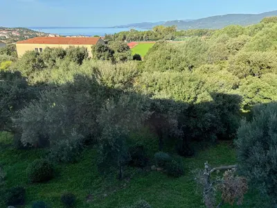 an overhead view of a forest of trees and bushes at appartement Vue mer époustouflante in Propriano