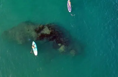 an aerial view of a beach and the ocean at Les villas de Bagheera, oasis naturiste in Linguizzetta