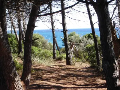 a trail through the trees on the beach at Appartamento con 2 camere da letto a 200 m dalla spiaggia in Linguizzetta