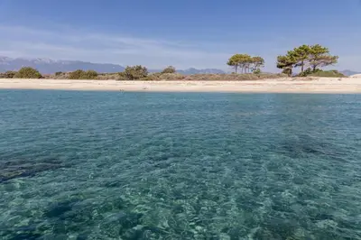 a body of water with a beach and trees in the background at Vignale Resort in Ghisonaccia