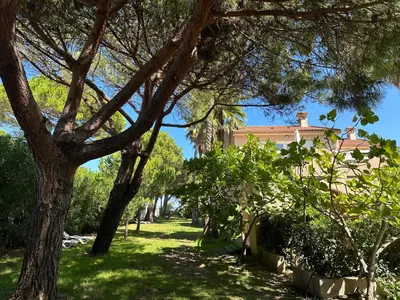 a yard with trees and a house in the background at Résidence les chênes in Borgo