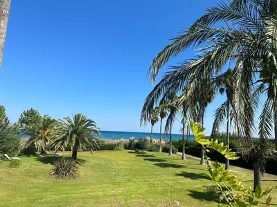 a lawn with palm trees and the ocean in the background at Résidence les chênes in Borgo