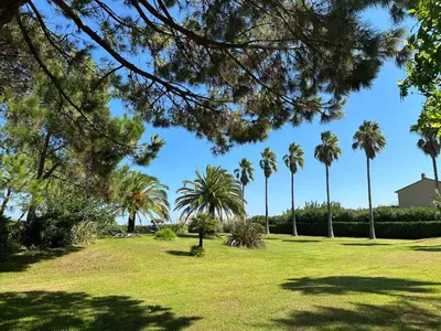 a park with palm trees on a sunny day at Résidence les chênes in Borgo