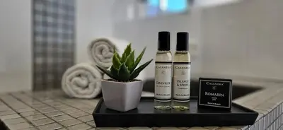 two bottles of essential oils and a plant on a counter at Villa de standing Les Amandiers, vue mer & piscine in Propriano