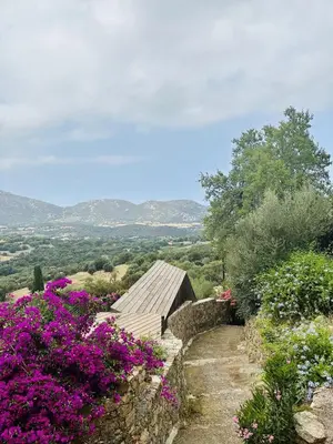 a garden with purple flowers and a wooden building at Appartement en rez de villa in Aregno