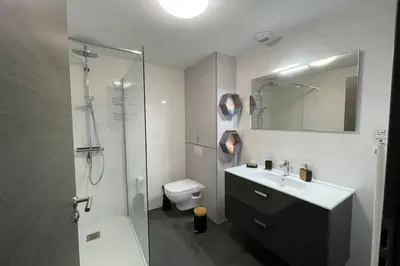 a bathroom with a shower and a sink and a toilet at Two-bedroom flat with terrace near the harbour and town centre in Porto-Vecchio