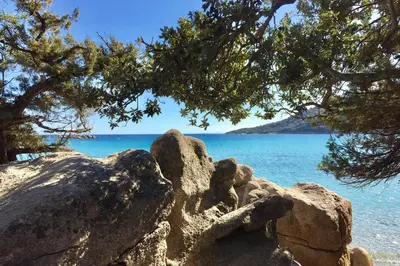 a view of the ocean from under a tree at Charming Duplex In Porto Vecchio in Porto-Vecchio