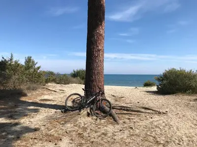 a bike chained to a tree on the beach at Monte Santu T2 in Prunelli-di-Fiumorbo