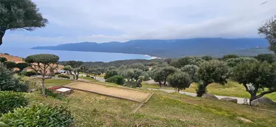 a view of a lake from a hill with trees at Villa 78 Alba Rossa Piscine chauffée et Plage de Cupabia in Serra-di-Ferro