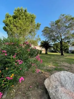 a garden with pink flowers and rocks and trees at Appartement à Cala Rossa in Lecci