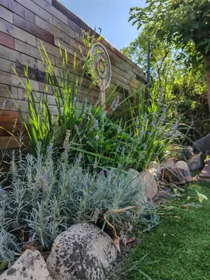 a garden with plants and rocks and a fence at Villa l'Albizia accès privé rivière in Porto-Vecchio