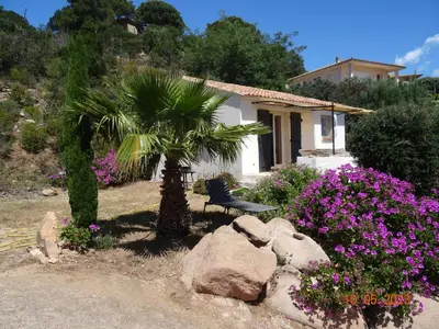 a house with a palm tree and flowers in front of it at Villa indépendante 2/5 personnes - Palombaggia Vue mer magnifique Porto Vecchio in Porto-Vecchio