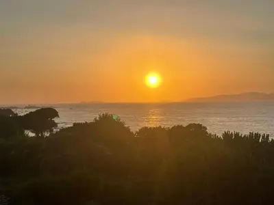 a sunset over the ocean with trees in the foreground at Loc A Machja Fiurita - Vue mer in Pietrosella