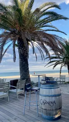 a table and chairs and a palm tree on the beach at CASA MARE in Ghisonaccia