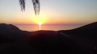 a sunset over the ocean with a palm tree at Studio à la campagne in Villanova
