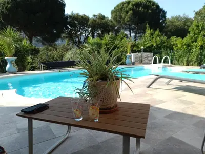 a potted plant sitting on a table next to a pool at chambre d'hôte cosy L'AGHJA in Carbuccia
